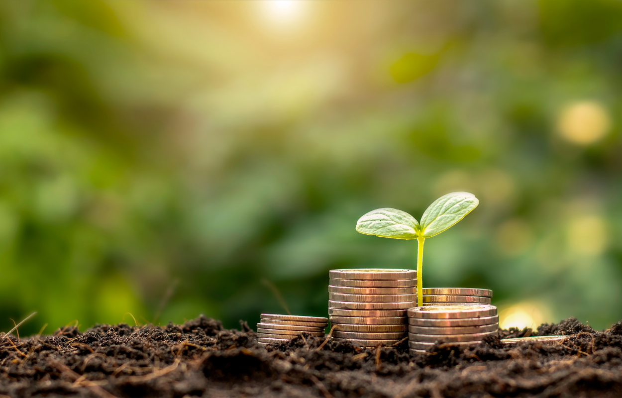 Coins stacking up with a tiny plant that is growing.